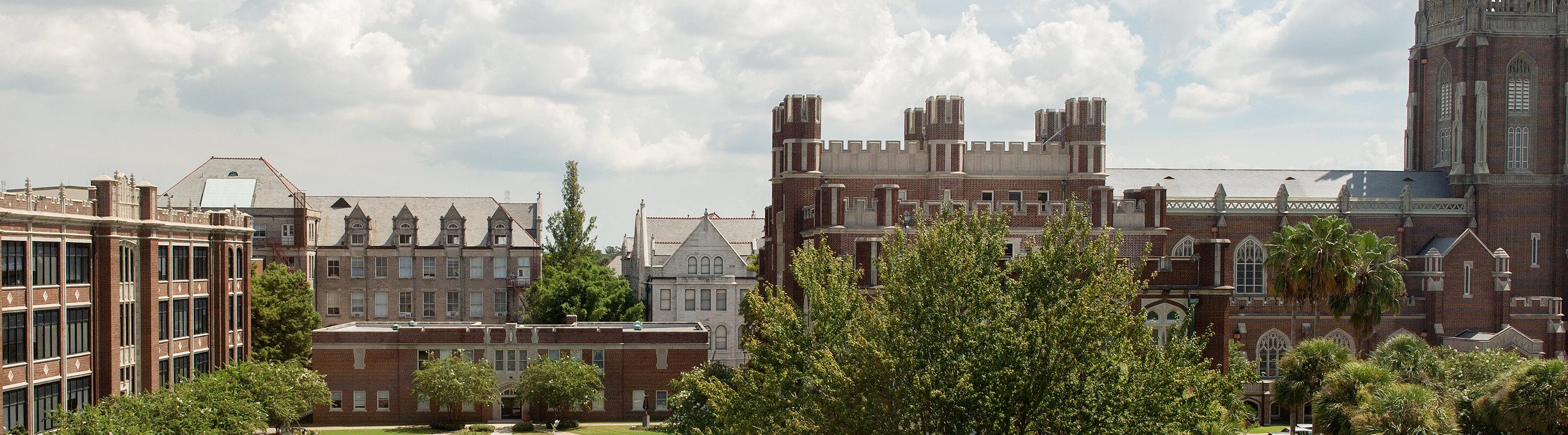 Campus shot from upper floor Monroe Hall